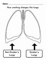 Lungs Smoking Changes Effects Diagram Lung Simple Teacherspayteachers Students Kindergarten Tar Body Color Education sketch template