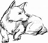 Dog Down Sitting Drawings Laying Drawing Sketch Cartoon Sketches Coloring Animal Easy Choose Board Pages Getdrawings Cute Source sketch template
