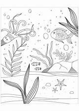 Coloring Fishes Sea Color Into These Worlds Water Seabed Octopus Starfish Present Gifts Website Pages sketch template