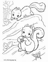 Trees Coloring Printable Cute Squirrels Playing Comments Two sketch template