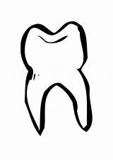 Diente Zahn Dientes Tand Malvorlage Dent Dente Toothache Ausmalbild Funcion Educima Schulbilder Bloques Große Téléchargez Scarica sketch template