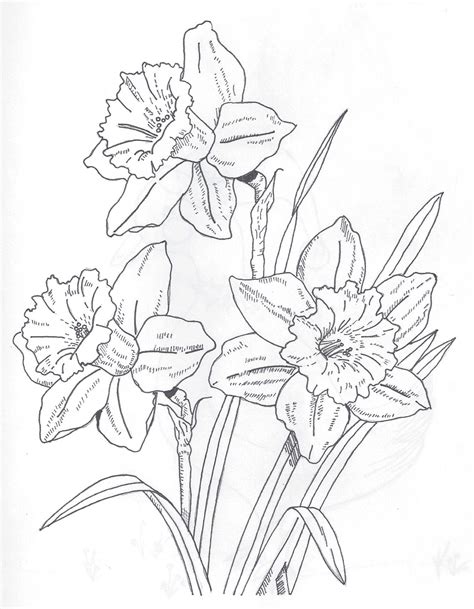 original yeah spring   ink drawing flower  drawings