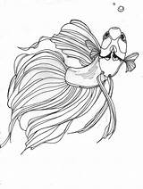 Betta Fish Coloring Drawing Tattoo Pages Outline Beta Fighting Drawings Siamese Stencil Great Would Peixe Deviantart Make Line Template Color sketch template