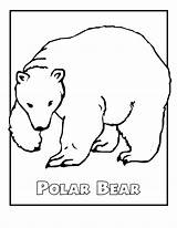 Polar Bear Coloring Pages Color Sheets Printable Animals Arctic Endangered Kids Animal Bears Print Template Alaska Cartoon Species Sheet Templates sketch template
