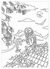 Owls Coloring Print Pages Color Beautiful Kids sketch template
