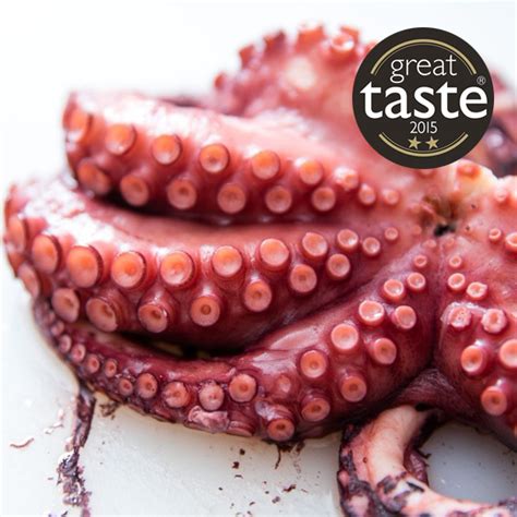 buy spanish octopus legs spanish seafood basco fine foods