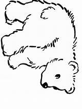 Coloring Pages Bear Polar Animals Clipart Bears Animal Cute Cub Teddy Outlines Cartoon Outline Baby Clip Cliparts Book Drawing Printable sketch template
