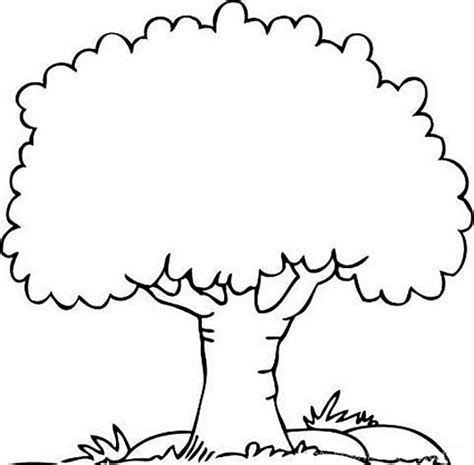 tree drawing outline    clipartmag