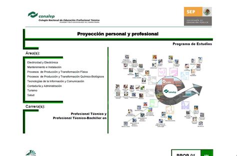 ProyecciÓn Personal Y Profesional Recursos