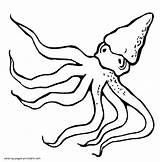 Coloring Pages Ocean Octopus Life Animals Printable Sea sketch template