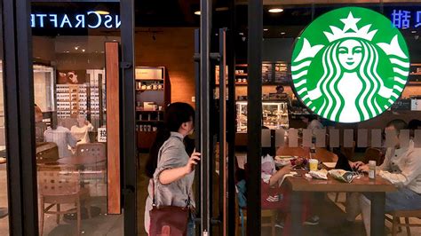 Starbucks Might Start Serving Real Lunch Food Soon Sheknows