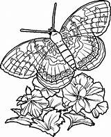 Coloring Pages Butterflies Butterfly Hard Adults Color Colour Print Printable Adult Embroidery Colors Colouring Schmetterling Papillons Coloriag Quilling Patterns sketch template