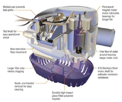 seaflo automatic bilge pump wiring diagram bilge pump wiring diagram
