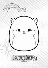 Squishmallows Squishmallow Hamster Humphrey Cuddly Stampare sketch template