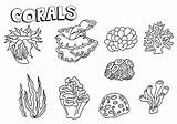 Corals Coloring Pages sketch template