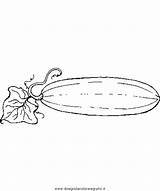 Gurke Cucumber Cetriolo Alimenti Condividi sketch template