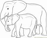 Elephant Baby Coloring Mother Pages Printable Color Kids Print Getcolorings Coloringpages101 Colouring Choose Board sketch template