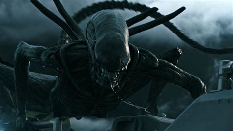 alien covenant 2017 movie review by vicky roach au