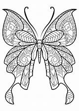 Butterfly Coloring Beautiful Patterns Pages Butterflies Insects Adult Printable Adults Animals sketch template
