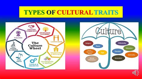 types  cultural traits sociology youtube