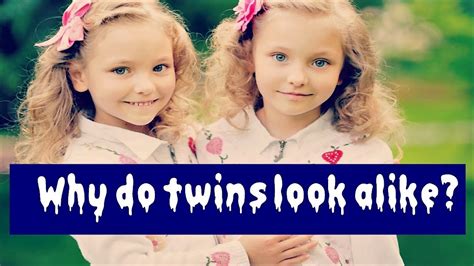 Why Do Twins Look Alike Identical Twins Fraternal