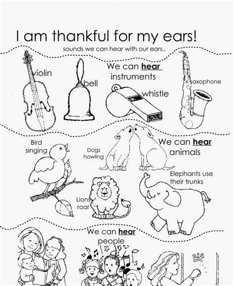 ears coloring pages coloring home