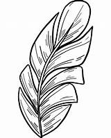Coloring Palm Leaf Pages Printable Supercoloring Categories sketch template