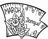 Birthstone Coloring Jonquil March Flower Pages sketch template