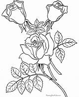 Coloring Pages Kids Color Book Colouring Sheets Enjoy Roses Printable Flower Cool Flowers Adult Rose Adults Print Bing Cute Numbers sketch template