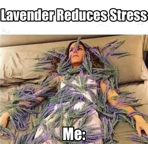 stressed meme image  jason rowlette  witty humor funny pictures