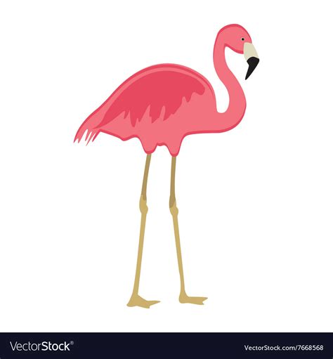 pink flaming bird royalty  vector image vectorstock