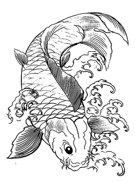 japanese koi fish coloring pages  print  coloring