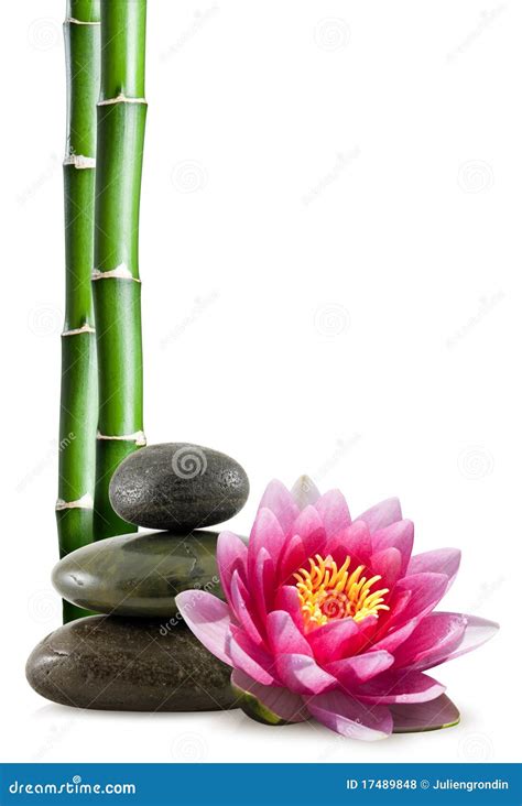 serene spa background  bamboo  stones  water  ultimate
