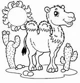 Camel Coloring Pages Printable Getcolorings Print sketch template