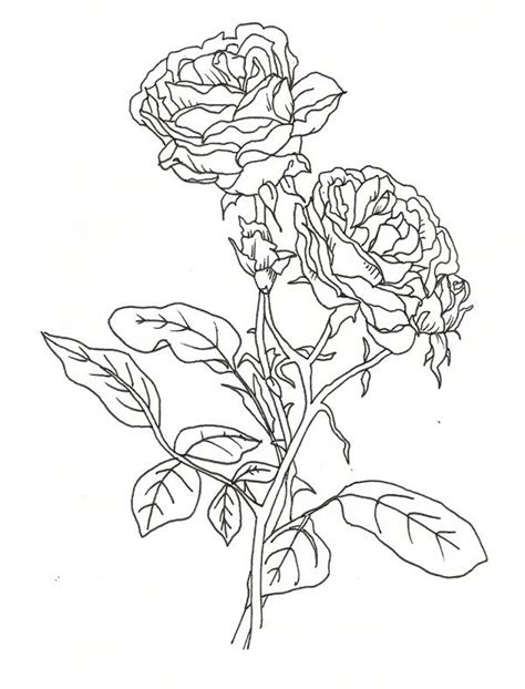 realistic rose coloring pages  coloring pages flower coloring