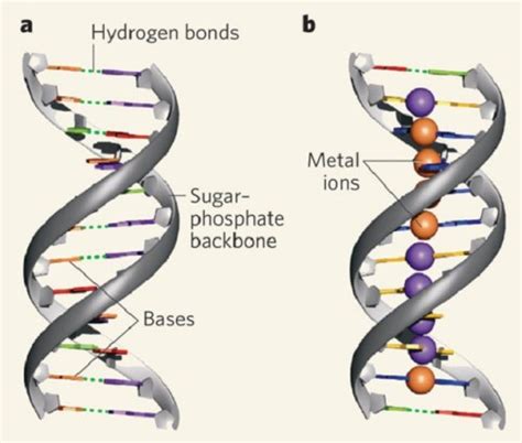 artificial dna synthesis jai om