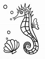 Coloring Seahorse Pages Printable Print Drawing Sheet Line Pdf Getdrawings Coloringcafe Button Prints Standard Below Sheets sketch template