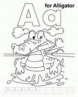 Alligator Coloring Pages Practice Handwriting Kids Jumbo Letter Worksheets Printable Preschool Apple Alphabet Popular Alligators Colouring Info Print sketch template