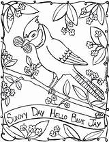 Sunny Jay Getcolorings Designlooter Coloringbay Steller sketch template