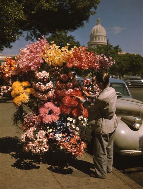 florida memory flower vendor in downtown havana