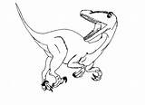 Coloring Pages Velociraptor Raptors Toronto Raptor Color Getcolorings Clipart Imprimer Popular Printable Library Remarkable Sketch Coloringhome Logo sketch template