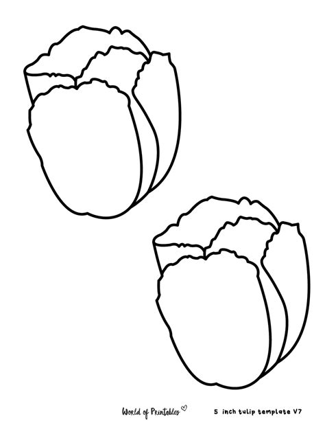 tulip template   printables  choose  world  printables