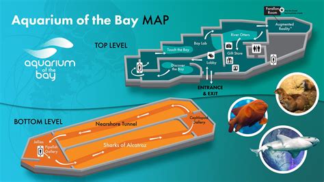 map aquarium   bay
