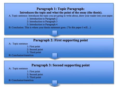 easy steps  master   paragraph essay  paragraph essay
