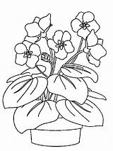 Violets Veilchen Bestcoloringpagesforkids Ausdrucken Malvorlagen sketch template