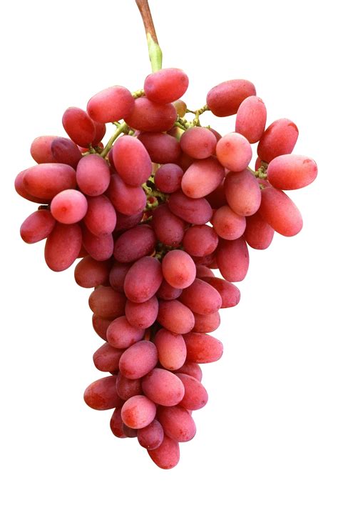 red grapes png image purepng  transparent cc png image library