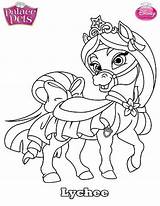 Pets Palace Coloring Princess Pages Disney Kids Puppy Lychee Pet Fun Print Animal Color Pony Sheets Getcolorings Printable Mulan Getdrawings sketch template