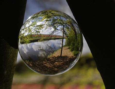fotograferen door een lensball fotograferen door een glazen bol rob doolaard dieren en