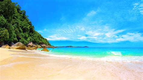 awesome tropical beach paradise    wallpaper