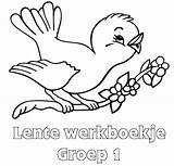 Lente Groep Mewarn11 Werkboekje Kleurplaat Minipret sketch template